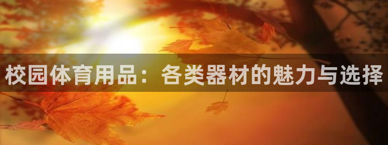 k1体育官方正版app娱乐:校园体育用品:各类器材的魅力与选