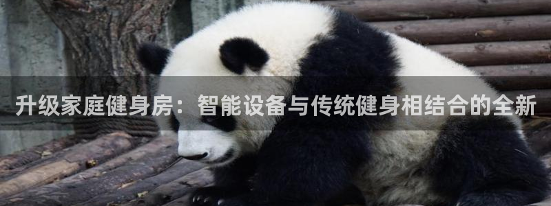 k1体育官网下载招商电话是多少:升级家庭健身房:智能设备与传