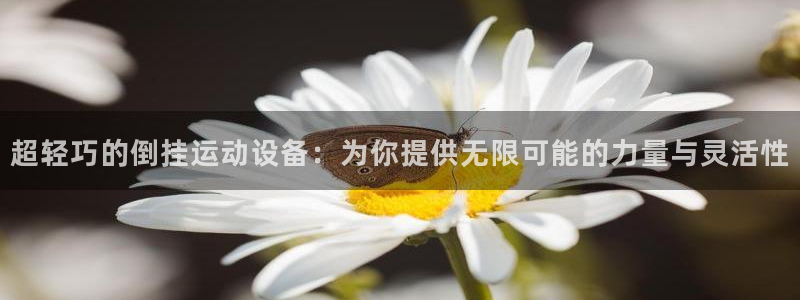 k1体育官网下载是干嘛的公司:超轻巧的倒挂运动设备:为你提供